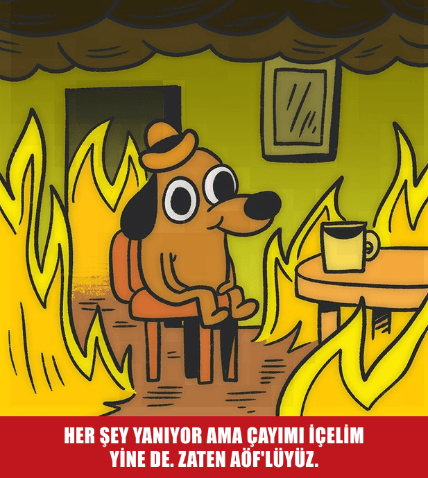 AÖF Sınavına Son Gece Çalışma