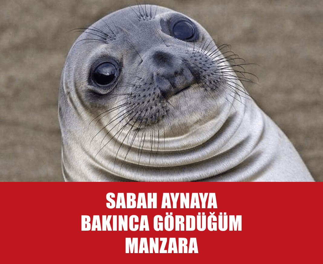 Sabah Aynası Faciası