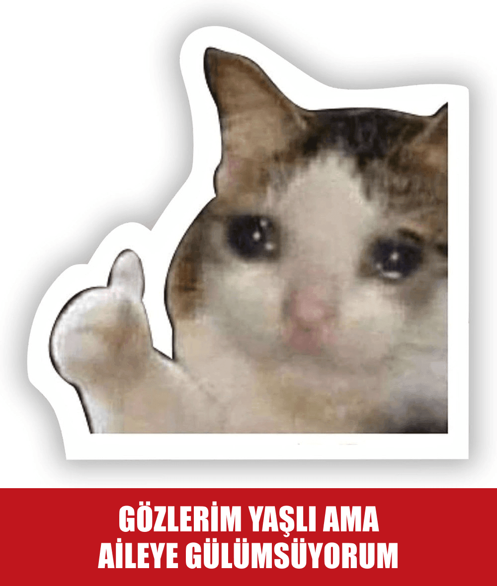 DGS Sonuçları Açıklanınca
