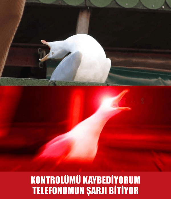 Elektrik Kesintisi Panik