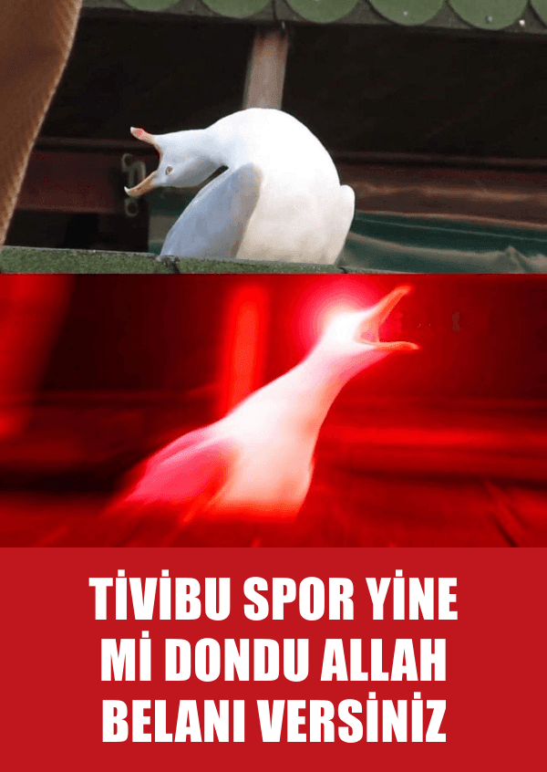 Maçın Tam Ortasında Tivibu Spor Donunca