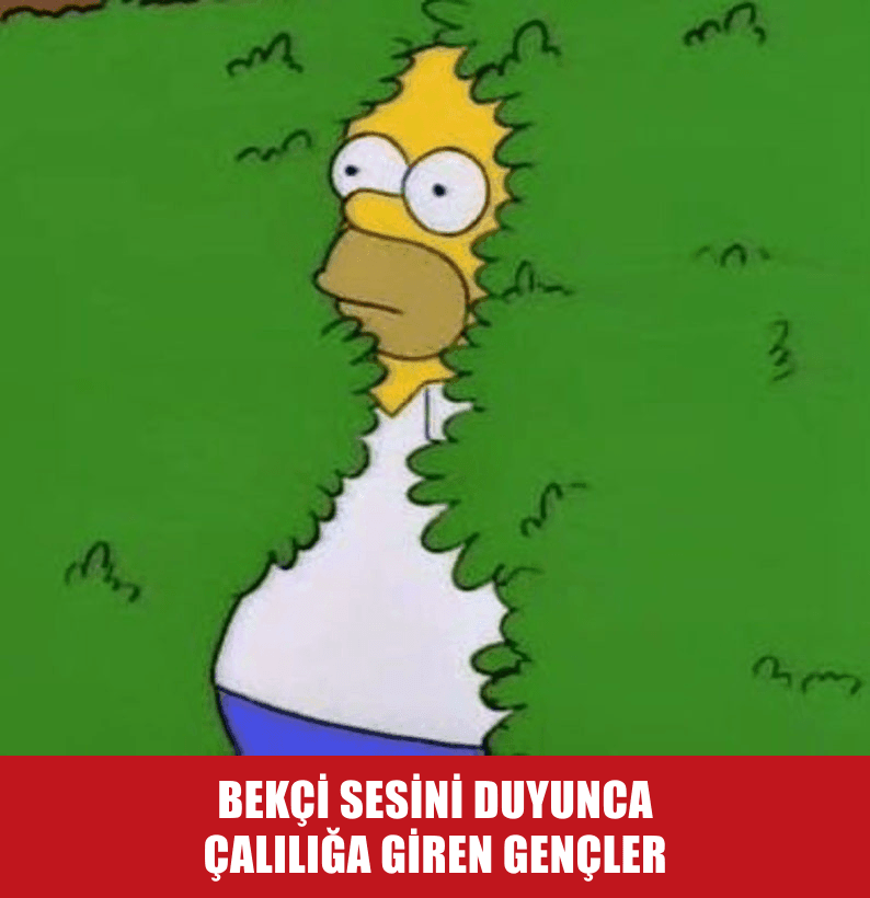 Gece Yarısı Bekçiyi Görünce