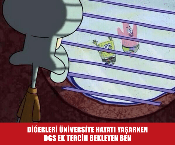 DGS Ek Tercih Çilesi