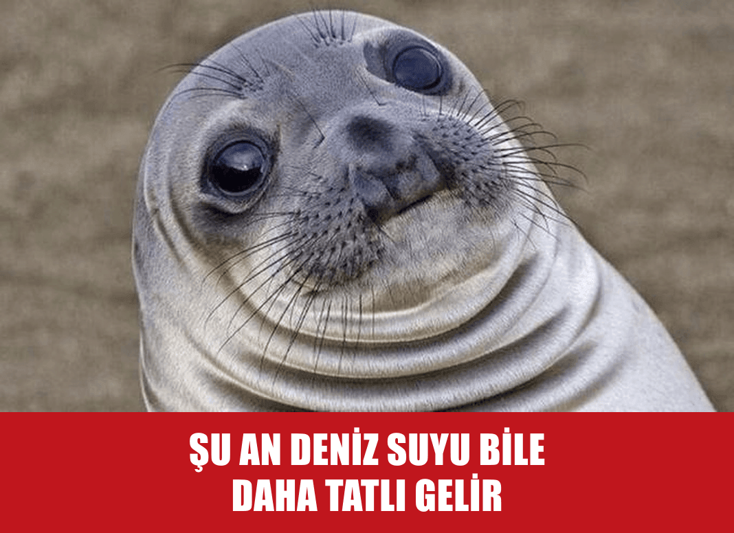 Tuzlu Kahve Şoku