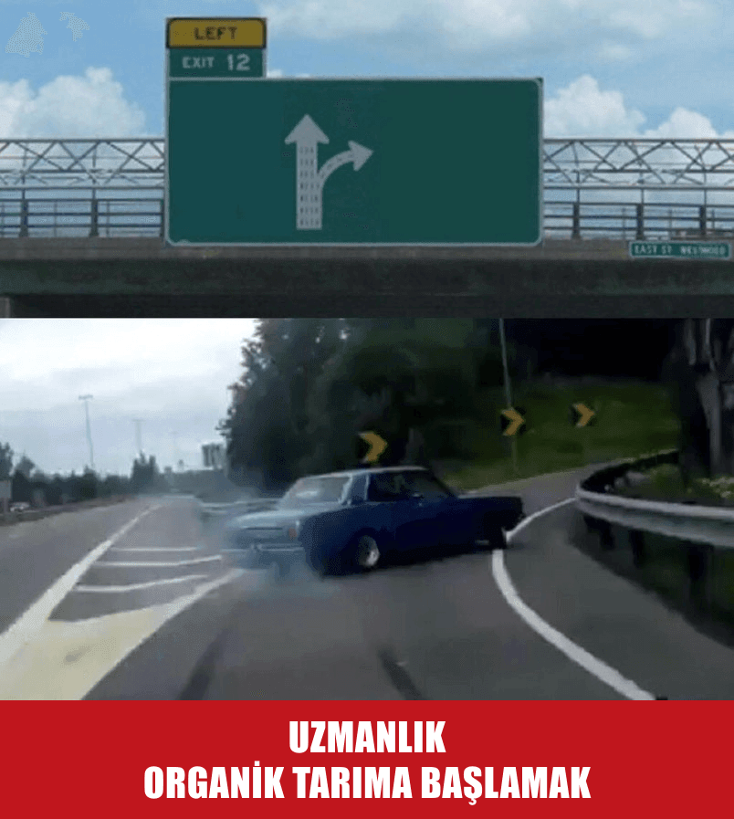TUS SONUÇLARI AÇIKLANINCA BEN