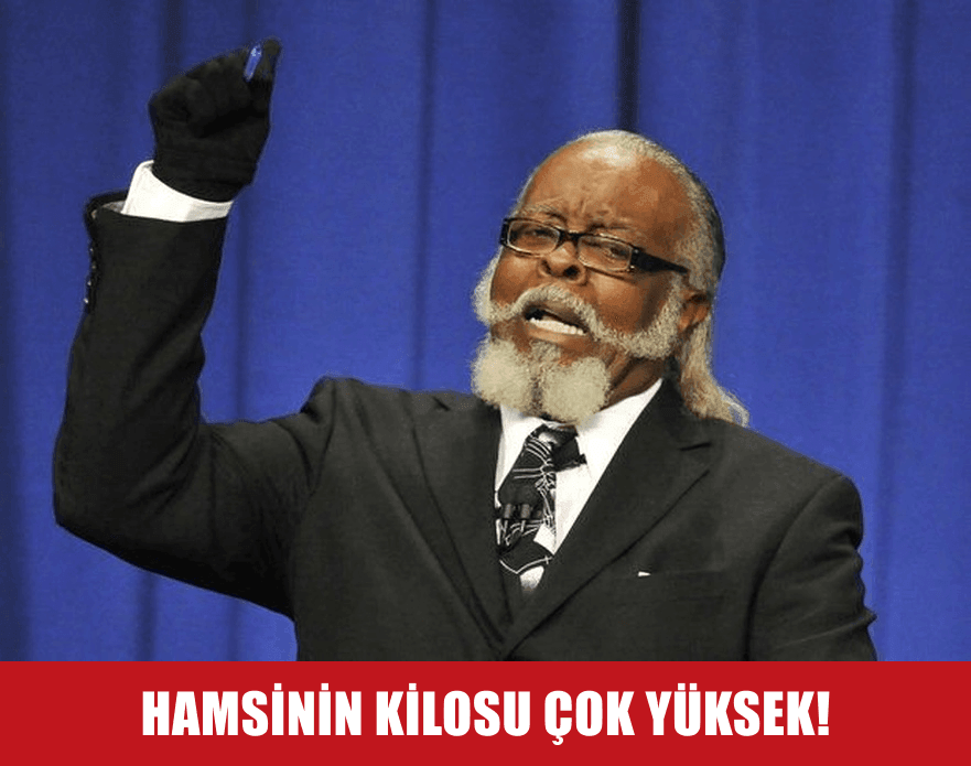 Hamsi Fiyatı