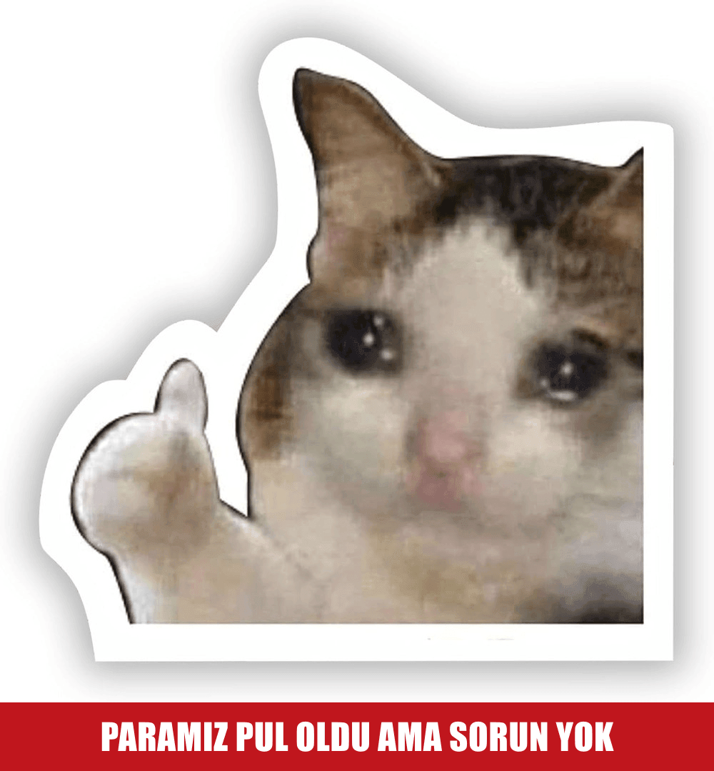 Paramız Pul Oldu Ama Sorun Yok