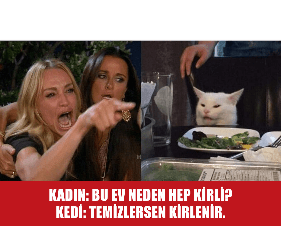 Temizlik Döngüsü