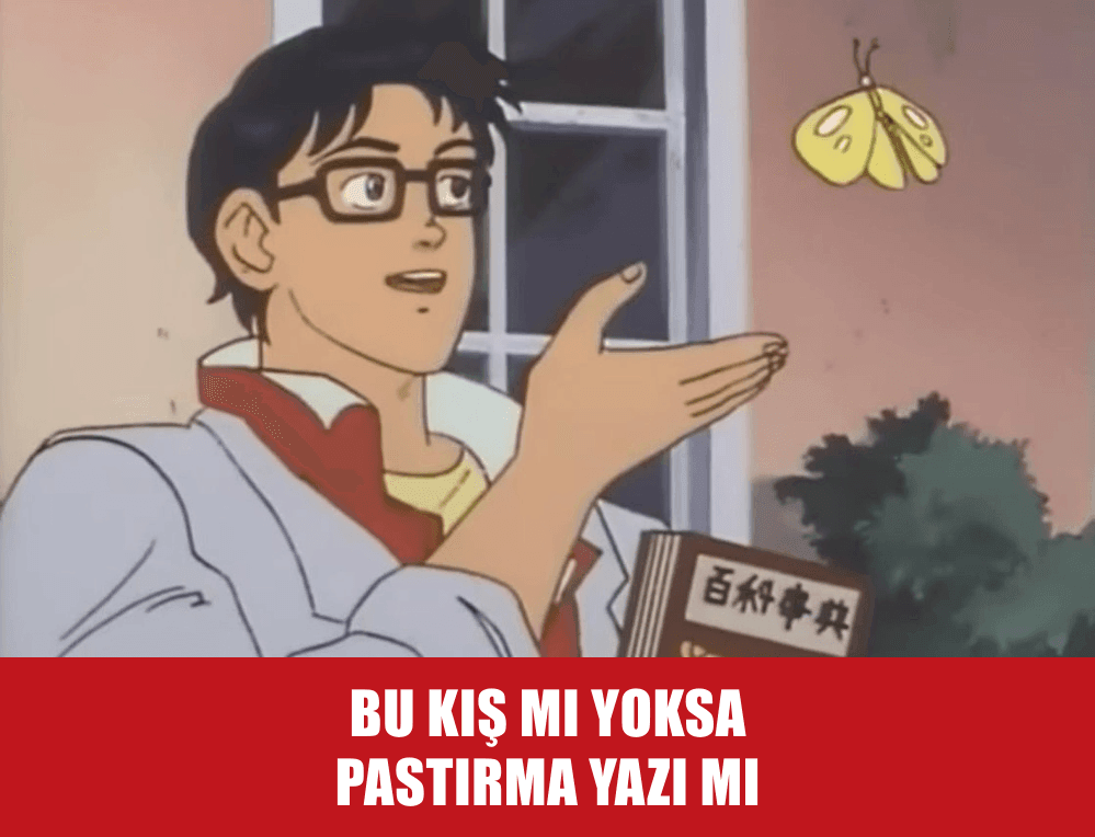 Bu Hava Yaz Mı Kış Mı